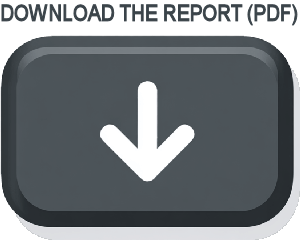 Download the full report: Governing in the Dark (PDF).